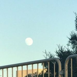 Meet your Posher, Pito